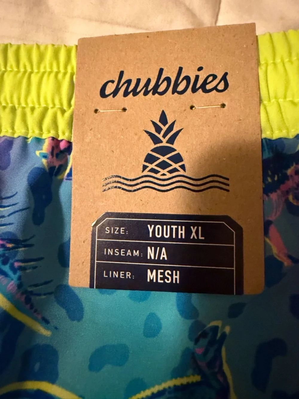 NWT! Chubbies Blue & Pink Dinosaur Print Swim Shorts